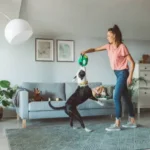 Essential Pet Proofing Tips: Smart Strategies to Prevent Accidents at Home
