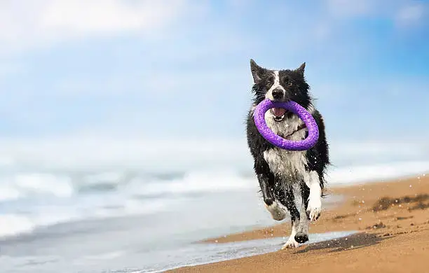 Portion Control Tips