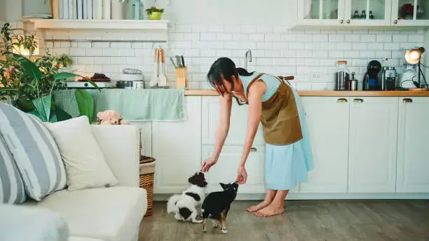 Regular Health Check