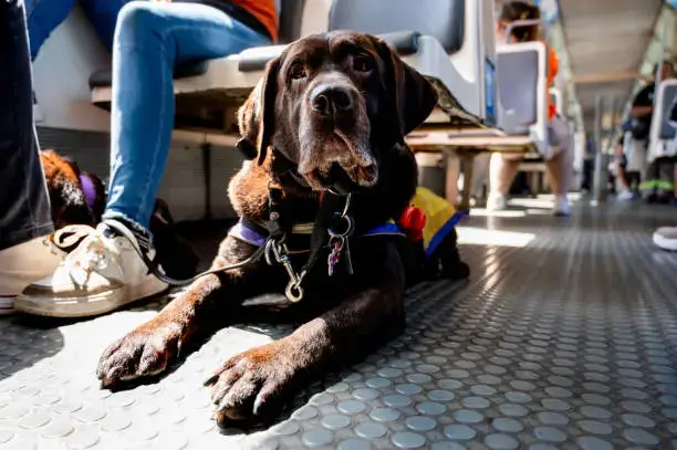 Regular Health Check