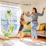Essential Relaxation Techniques to Calm a Stressed Dog at Home
