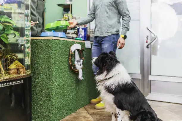 Rotating Toys Schedule