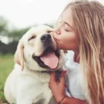 Proven Tips for Creating Safe Outdoor Play Areas for Your Dog