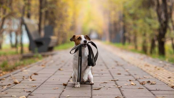 Seasonal Bathing Tips