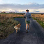 Essential Seasonal Coat Adjustments for Dogs: Smart Tips to Keep Your Dog’s Coat Healthy All Year