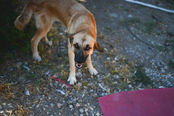 Seasonal Coat Adjustments