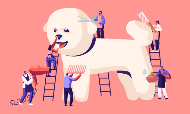 Seasonal Grooming Tips