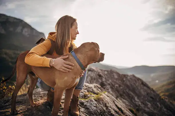 Seasonal Shedding Solutions