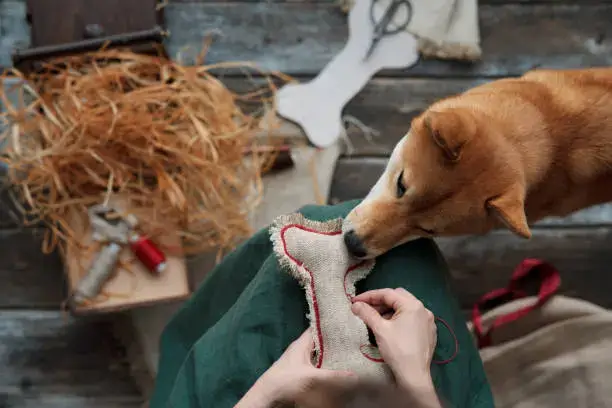 Homemade dog sensory toy using a towel and hidden treats for mental stimulation