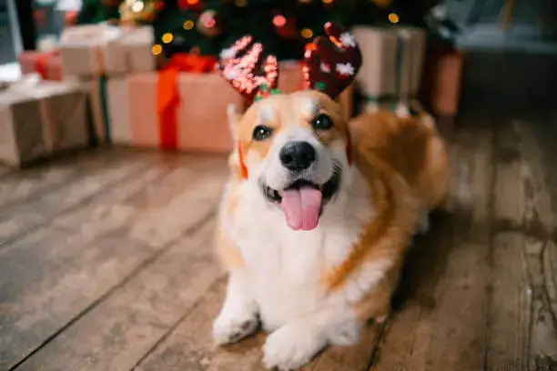 Shedding Management Tools