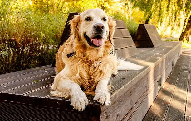 Short Training Sessions