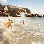 Smart and Easy Short Training Sessions for Busy Dog Owners to Boost Obedience and Behavior