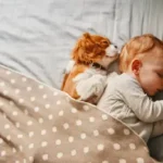 Essential Skin Infection Prevention for Dogs: Smart, Proven Ways to Avoid Common Problems at Home
