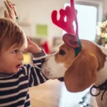 Essential Skin Monitoring for Dogs: Proven Tips to Spot Irritations Early
