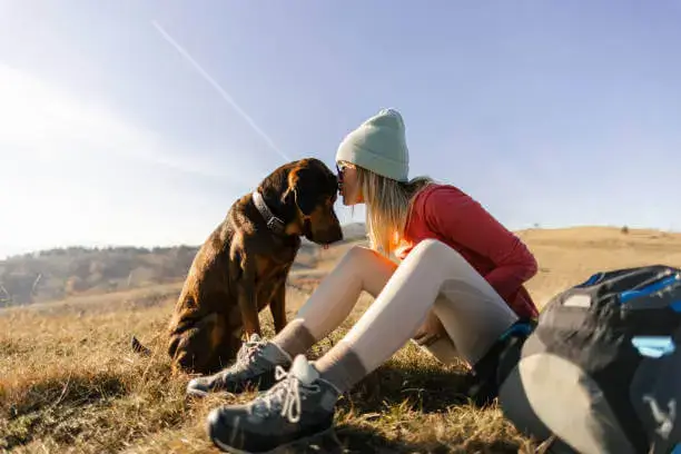 Stress Identification