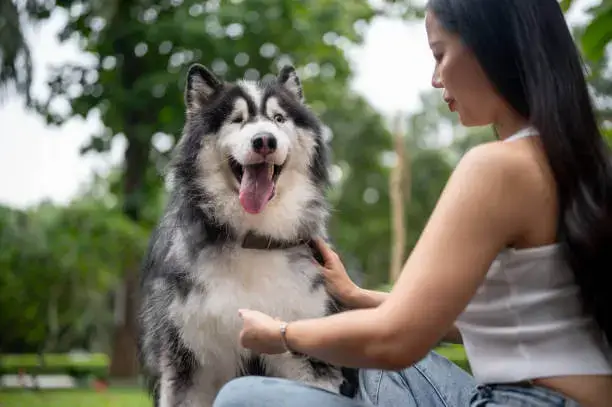 Stress Reduction Activities