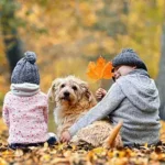 Essential Stress Relief Tips to Keep Your Dog Calm at Home