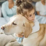 Essential Guide to Recognizing Stress Signals in Dogs