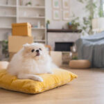 Essential Summer Grooming Tips for Every Dog: Keep Your Pet Cool, Healthy, and Happy