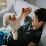 Essential Winter Coat Care Tips for Every Dog: Keep Your Pet Warm, Healthy, and Comfortable
