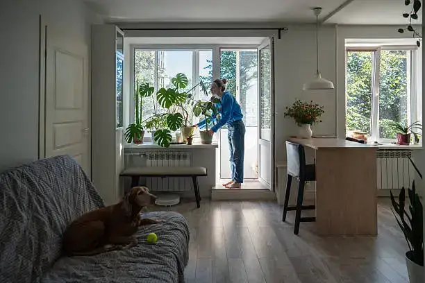 dog owner checking and supervising dog toy safety for chewing and choking risks