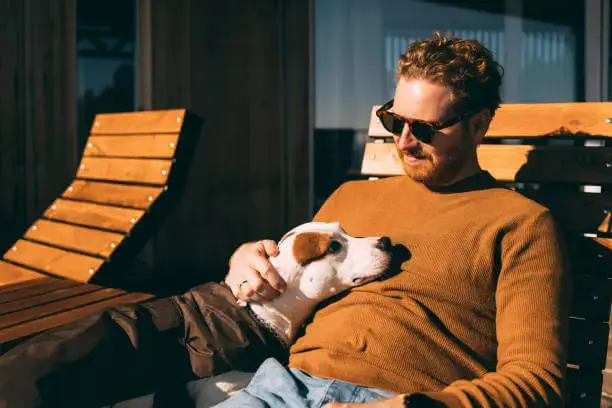 Seasonal Shedding Solutions