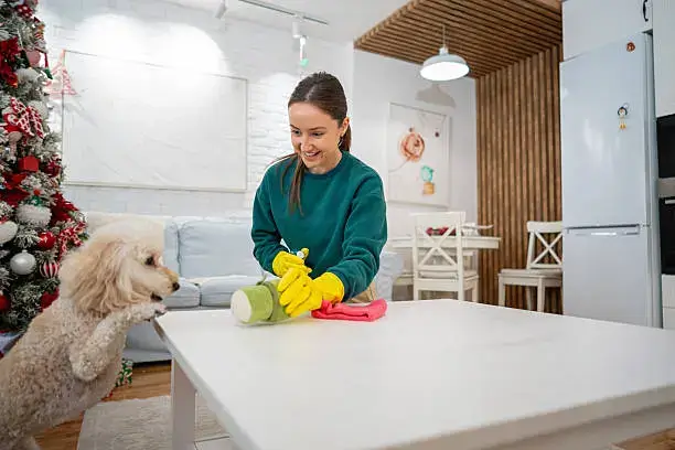 Owner cleaning rubber and rope dog chew toys at home to ensure safety and hygiene