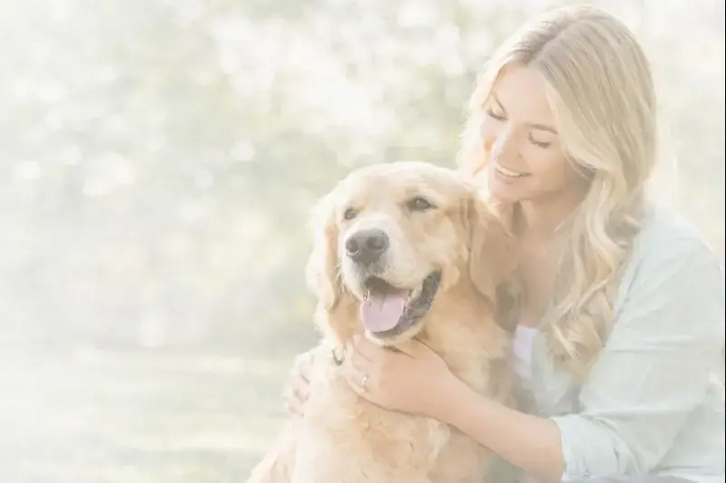 Dog grooming at home – practical dog care tips