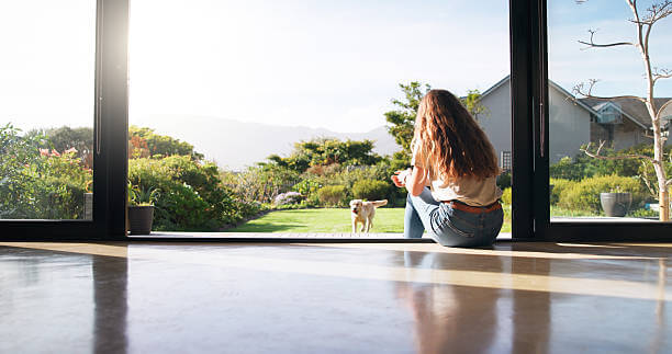 grooming tools selection