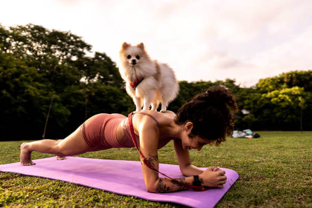 grooming tools selection