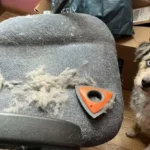 Analan Mini Pet Hair Remover Review: The Ultimate Tool for Car Detailing & Couch Cleaning?