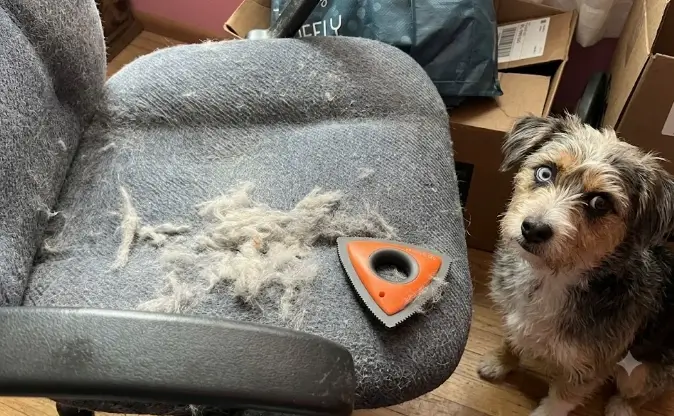 Analan Mini Pet Hair Remover review