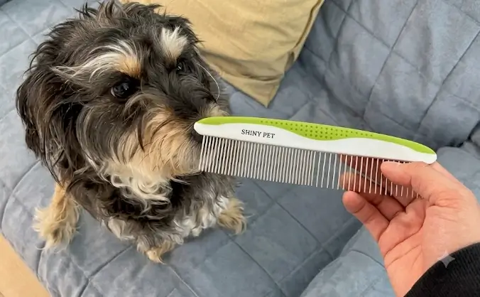 Andis Pet Steel Grooming Comb showing the dual-spacing coarse and fine pin architecture