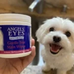 An Honest Angels’ Eyes Gentle Tear Stain Wipes Review: Does This Blueberry Facial Really Work?
