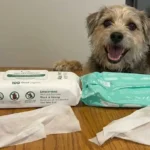 Best Pet Supplies Dog Wipes Review: Are These Extra-Large Wipes Worth the Hype for Muddy Paws?