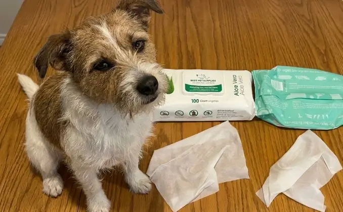 Best Pet Supplies Dog Wipes 100 count pack packaging presentation featuring rigid plastic flip-top lid