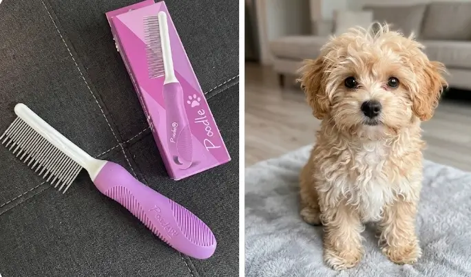 The best Poodle grooming comb showcasing its solid stainless steel dual-spacing teeth design