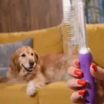 Best Detangling Comb for Dogs and Cats? An Honest Review of the Dual-Length Stainless Steel Comb