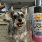 Bodhi Dog Cologne Review: Does the Baby Powder Scent Actually Last? (An Honest Pet Owner’s View)