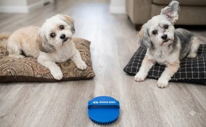Bodhi Dog Shampoo Brush product presentation showcasing ergonomic hand loop handle
