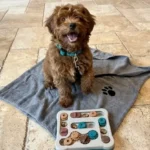 An Honest Bone Dry Pet Towel Review (2026): Is It Truly Ultra-Absorbent?