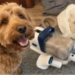 Buenkee Dog Grooming Kit with Vacuum Review: Is It Worth It for Heavy Shedders?