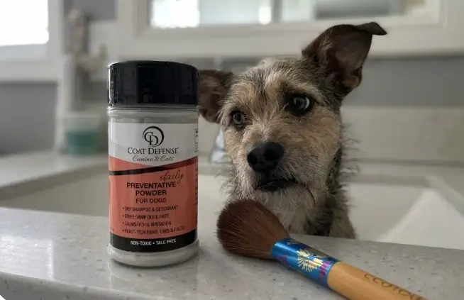 Coat Defense Dog Powder review