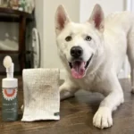 Dandylion Dog Paw Cleaner Review: Is It Worth The Hype For Heavy Shedders?