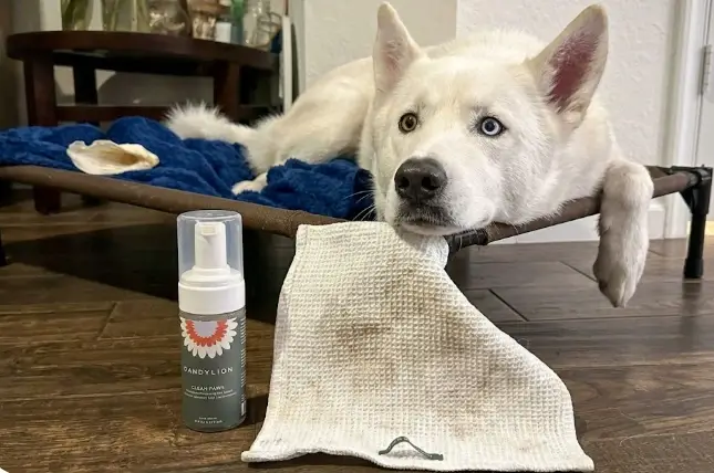 Dandylion Clean Paws bottle showcasing the ultra-soft built-in silicone brush head close up