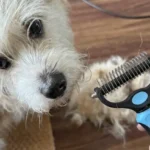 The Ultimate Docrok Pet Grooming Combo Review: Is It Safe for Your Pet’s Undercoat?