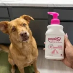 Douxo S3 Calm Shampoo Review: Is This Premium Topical Treatment Worth It?