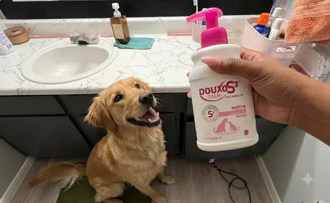 Douxo S3 Calm Shampoo bottle presentation layout for allergic pets