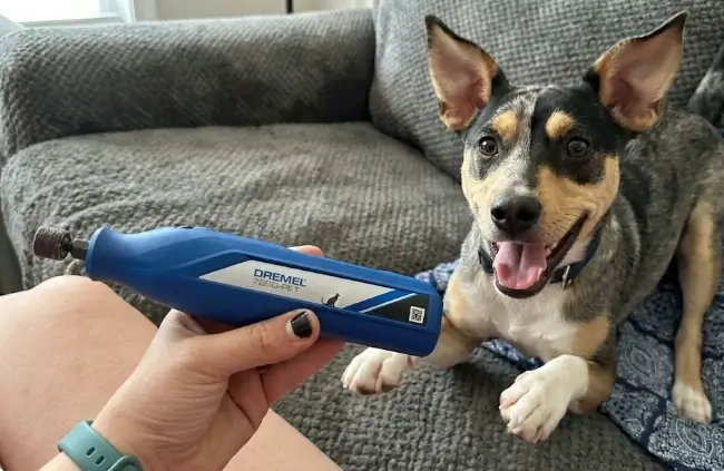 Dremel 7350-PET Review