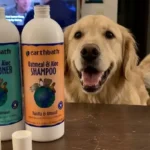 Earthbath Oatmeal and Aloe Dog Shampoo Review: Is It Best for Itchy, Dry Skin?